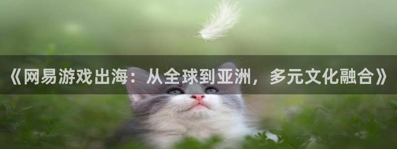 鼎点娱乐登录：《网易游戏出海：从全球到亚洲，多元文化融合》