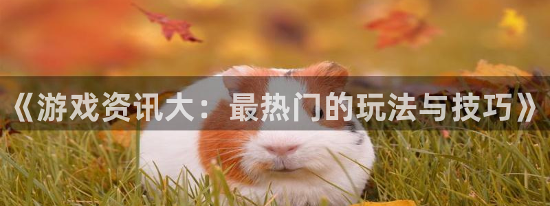 鼎点娱乐注册测速：《游戏资讯大：最热门的玩法与技巧》