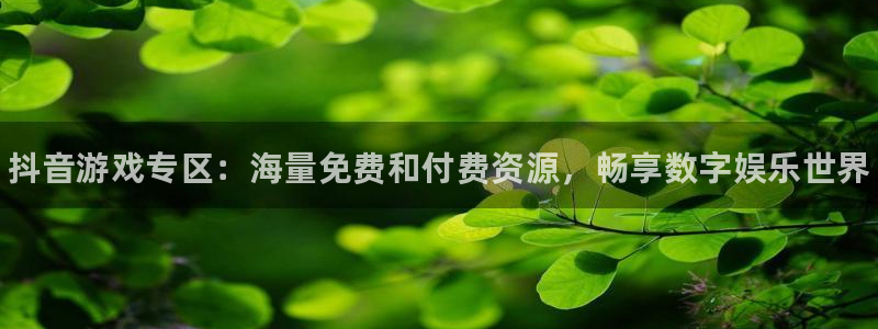 鼎点娱乐登录地址：抖音游戏专区：海量免费和付费资源，畅享数字