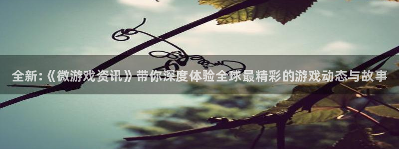 鼎点娱乐平台官网登录：全新:《微游戏资讯》带你深度体验全球最