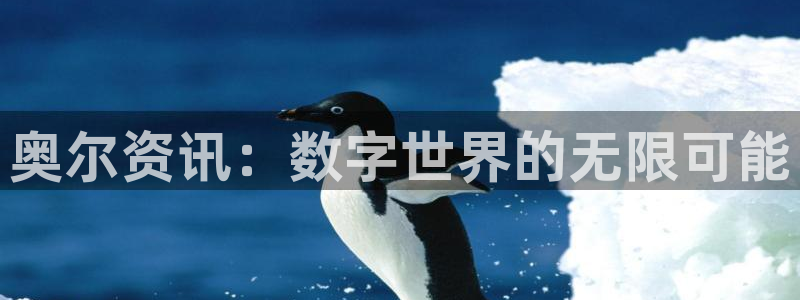 鼎点娱乐官方平台：奥尔资讯：数字世界的无限可能