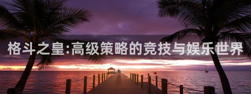鼎点娱乐手机网页版登录：格斗之皇:高级策略的竞技与娱乐世界