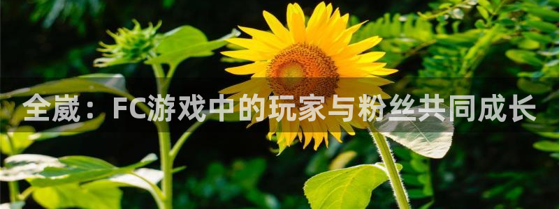 鼎点娱乐平台官网注册：全崴：FC游戏中的玩家与粉丝共同成长