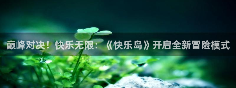 鼎点娱乐注册开户：巅峰对决！快乐无限：《快乐岛》开启全新冒险
