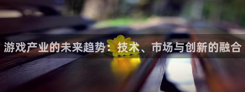 鼎点娱乐主管：游戏产业的未来趋势：技术、市场与创新的融合