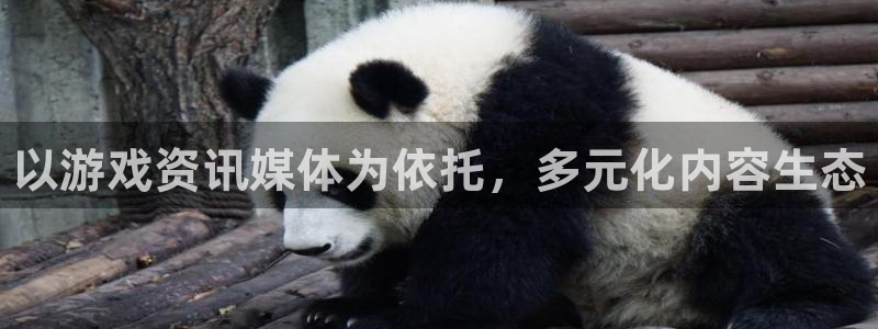 鼎点娱乐代理登陆：以游戏资讯媒体为依托，多元化内容生态