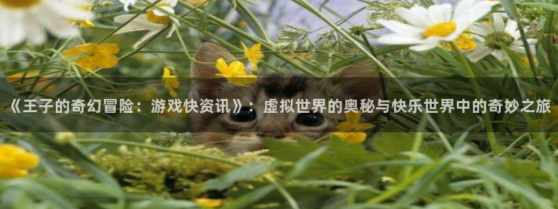 鼎点娱乐代理登陆：《王子的奇幻冒险：游戏快资讯》：虚拟世界的