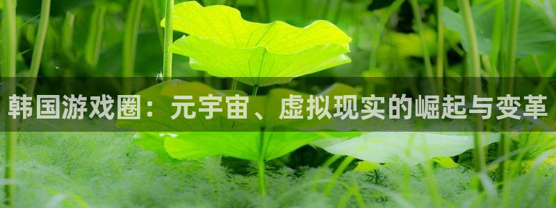 鼎点娱乐游戏：韩国游戏圈：元宇宙、虚拟现实的崛起与变革