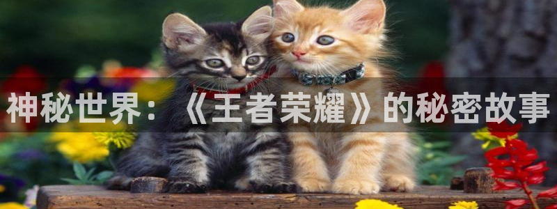 鼎点娱乐在线登录：神秘世界：《王者荣耀》的秘密故事