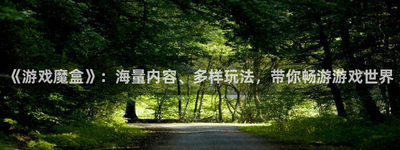 鼎点娱乐集团：《游戏魔盒》：海量内容、多样玩法，带你畅游游戏