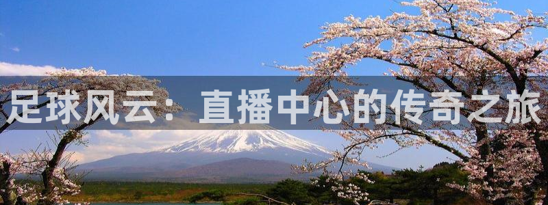 51视频在线直播nba