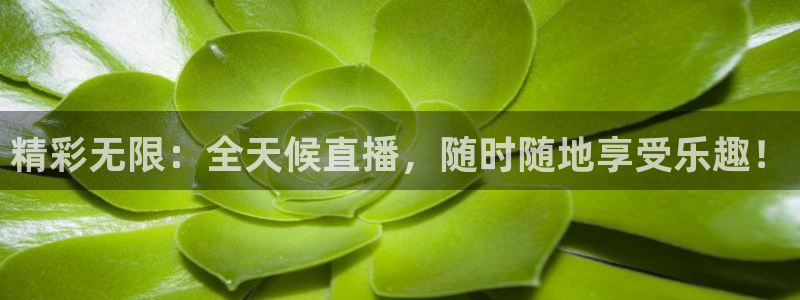 51视频在线直播nba：精彩无限：全天候直播，随时随地享受乐趣！