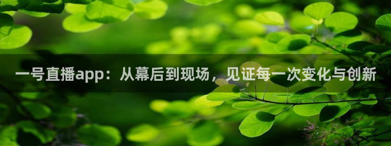 51视频在线直播nba：一号直播app：从幕后到现场，见证每一次变化与创新