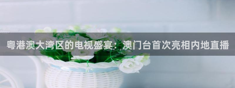 51视频在线直播nba：粤港澳大湾区的电视盛宴：澳门台首次亮相内地直播