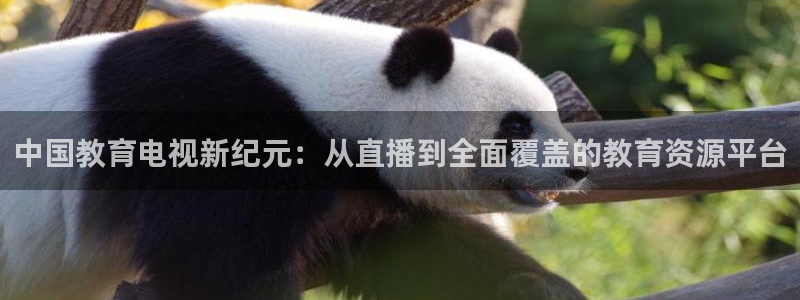 51视频在线直播nba：中国教育电视新纪元：从直播到全面覆盖的教育资源平台