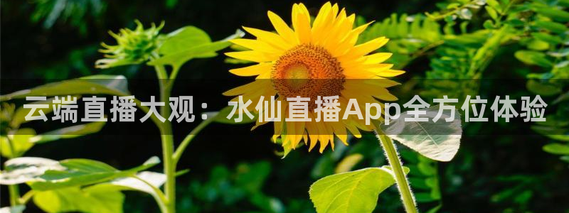 51视频在线直播nba：云端直播大观：水仙直播App全方位体验