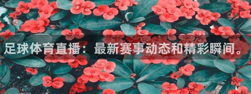51视频在线直播nba：足球体育直播：最新赛事动态和精彩瞬间。